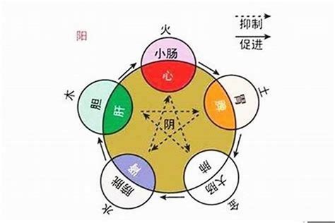 子 屬性|子字的五行属性